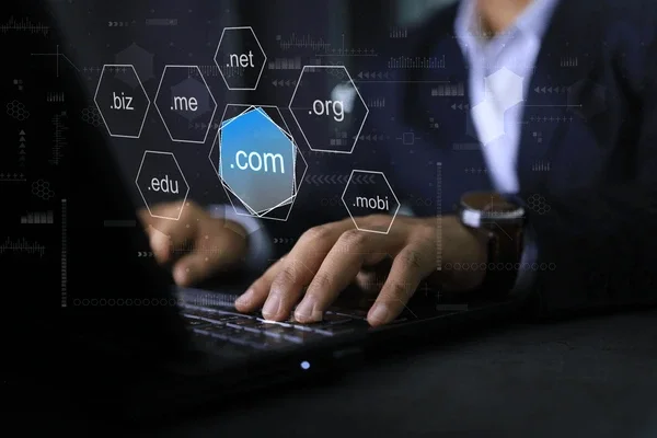 Purchase a Domain for Your Website